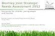 Bromley Joint Strategic Needs Assessment 2012