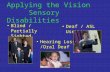 Applying the Vision Sensory Disabilities