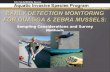 Early Detection Monitoring for Quagga & Zebra Mussels :