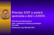 Princípy KBT u porúch správania a detí s ADHD.