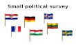 Small  political survey