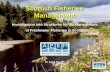 Scottish Fisheries Management