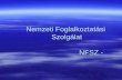 Nemzeti Foglalkoztatási  Szolgálat    NFSZ -