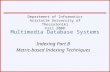 Multimedia Database Systems