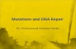 Mutations and DNA Repair