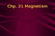 Chp. 21 Magnetism