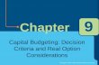 Capital Budgeting: Decision Criteria and Real Option Considerations