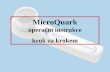 MicroQuark operační instrukce krok za krokem