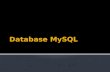 Database  MySQL