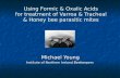 Using Formic & Oxalic Acids for treatment of Varroa & Tracheal & Honey bee parasitic mites