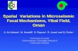Spatial  Variations in Microseismic Focal Mechanisms, Yibal Field, Oman