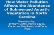 How Water Pollution Affects the Abundance of Submerged Aquatic Vegetation in North Carolina