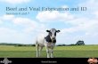 Beef and Veal Fabrication and ID Sessions 6 and 7