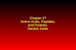 Chapter 27 Amino Acids, Peptides, and Proteins. Nucleic Acids
