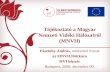 Tájékoztató a Magyar Nemzeti Vidéki Hálózatról (MNVH)