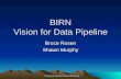 BIRN Vision for Data Pipeline