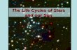The Life Cycles of Stars and our Sun