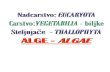 Nadcarstvo:  EUCARYOTA Carstvo: VEGETABILIA  - biljke Steljnjače  -  THALLOPHYTA ALGE -  ALGAE