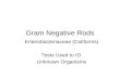 Gram Negative Rods