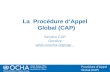 La  Procédure d’Appel Global (CAP) Section CAP Genève unocha/cap