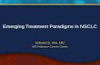 Emerging Treatment Paradigms in NSCLC