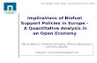 Implications of Biofuel Support Policies in Europe -  A Quantitative Analysis in an Open Economy