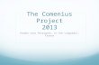 The Comenius Project 2013