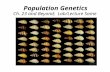 Population Genetics Ch. 23 and Beyond;  Lab/Lecture Same
