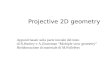 Projective 2D geometry