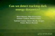 Can we detect tracking dark energy dynamics?