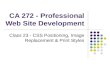 CA 272 - Professional Web Site Development