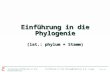 Einführung in die Phylogenie (lat.:  phylum  = Stamm)