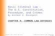 Basic Criminal Law –  The U.S. Constitution, Procedure, and Crimes By Anniken U. Davenport