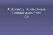 Automaty komórkowe Cellular Automata CA