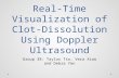 Real-Time Visualization of Clot-Dissolution Using Doppler Ultrasound