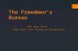 The Freedmen’s Bureau