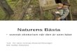 Naturens Bästa -  svensk ekoturism när den är som bäst