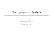 The Lymphatic  System