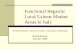 Functional Regions: Local Labour Market Areas in Italy
