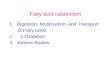 Fatty acid catabolism