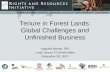 Tenure in Forest Lands: Global Challenges and Unfinished Business