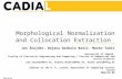 Morphological Normalization and Collocation Extraction