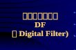 数字滤波器结构 DF （Digital Filter)