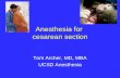 Anesthesia for  cesarean section