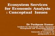 Ecosystem Services for Economic Analysis : Conceptual  Issues
