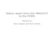 Status report from the TWG/CCIT to the CEWG