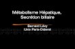 Métabolisme Hépatique,  Secrétion biliaire Bernard Lévy Univ Paris-Diderot