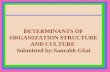 DETERMINANTS OF ORGANIZATION STRUCTURE AND CULTURE  Submitted  by:Saurabh Ghai