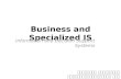 Business and Specialized IS