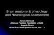 Brain anatomy & physiology and Neurological Assessment